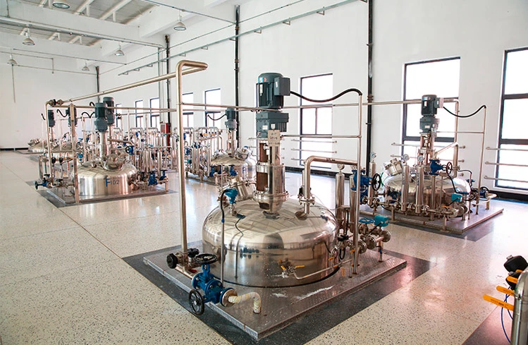 Hyaluronic Acid Filler Production